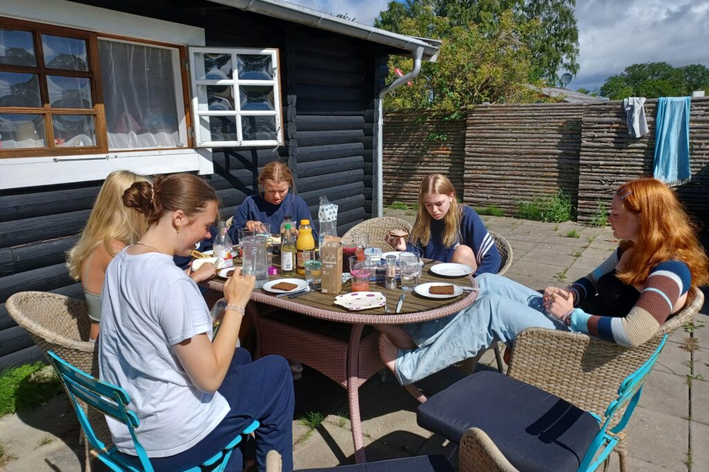 company of friends in summer house